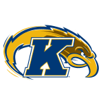 Sportsurge Kent State Golden Flashes