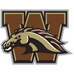 Western Michigan Broncos