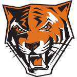 Sportsurge Buffalo Bengals