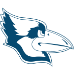 Sportsurge Westminster Blue Jays