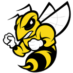 Sportsurge Randolph Macon Yellow Jackets