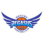 Sportsurge Daegu KOGAS Pegasus