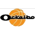 Sportsurge Ockelbo Basket