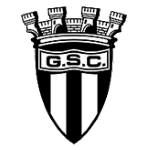 Sportsurge Guifões S.C.