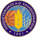 Sportsurge Panelefsiniakos AOK BC