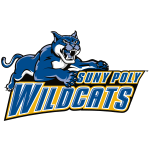 Sportsurge SUNY Polytech Wildcats