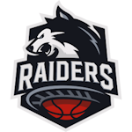 Sportsurge Raiders Basket