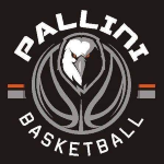 Sportsurge GS Pallinis