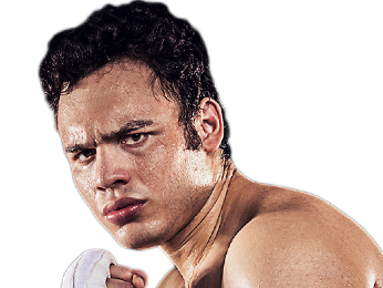 Julio Cesar Chavez Jr Image