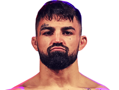 Mike Perry Image