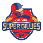 Chepauk Super Gillies