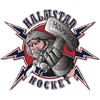Sportsurge Halmstad Hammers HC