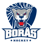 Sportsurge Borås HC