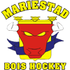 Sportsurge Mariestads BOIS