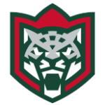 Sportsurge Ak Bars Kazan