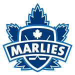 Sportsurge Toronto Marlies