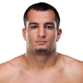 Gegard Mousasi Image